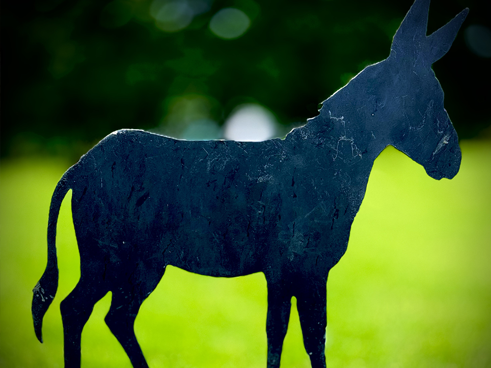 Donkey for Golf Course