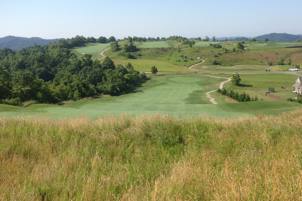 View of golf course green